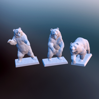 CGB01 : Bear Pack