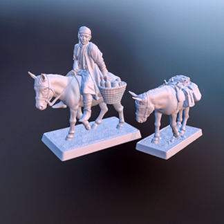 CGB03 : Merchant and his mule