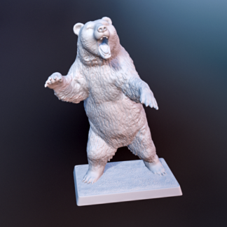 CG1 : Bear #1