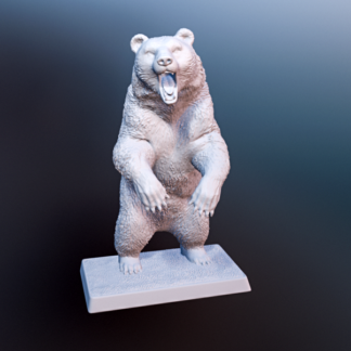 CG2 : Bear #2