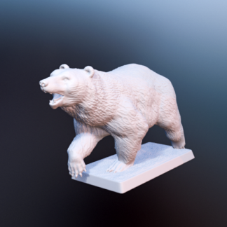 CG3 : Bear 3